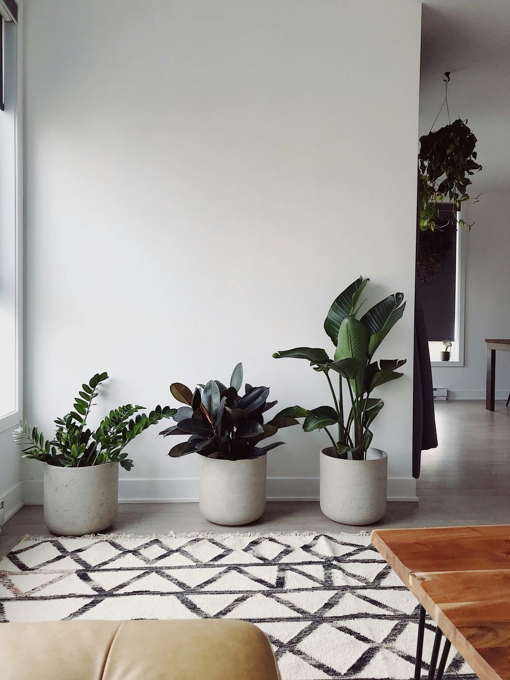 Sunlit Botanical Haven - The Era Interior Decors
